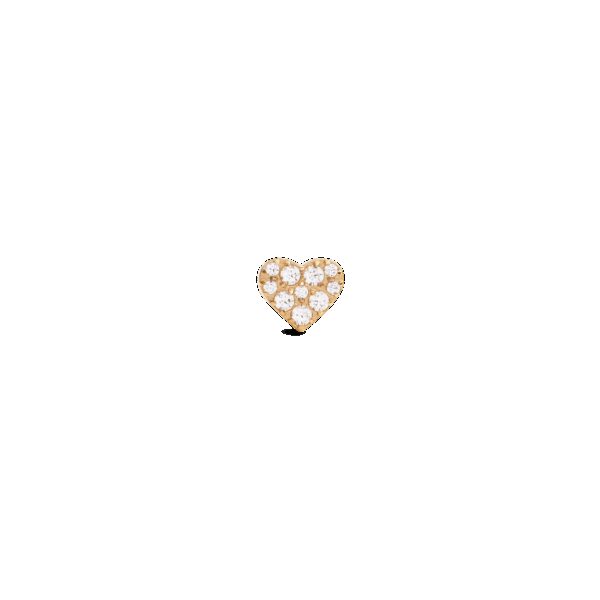Daniel Wellington DW Earrings Micro 4