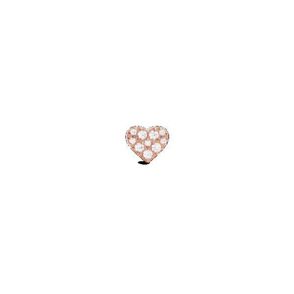 Daniel Wellington DW Earrings Micro 4
