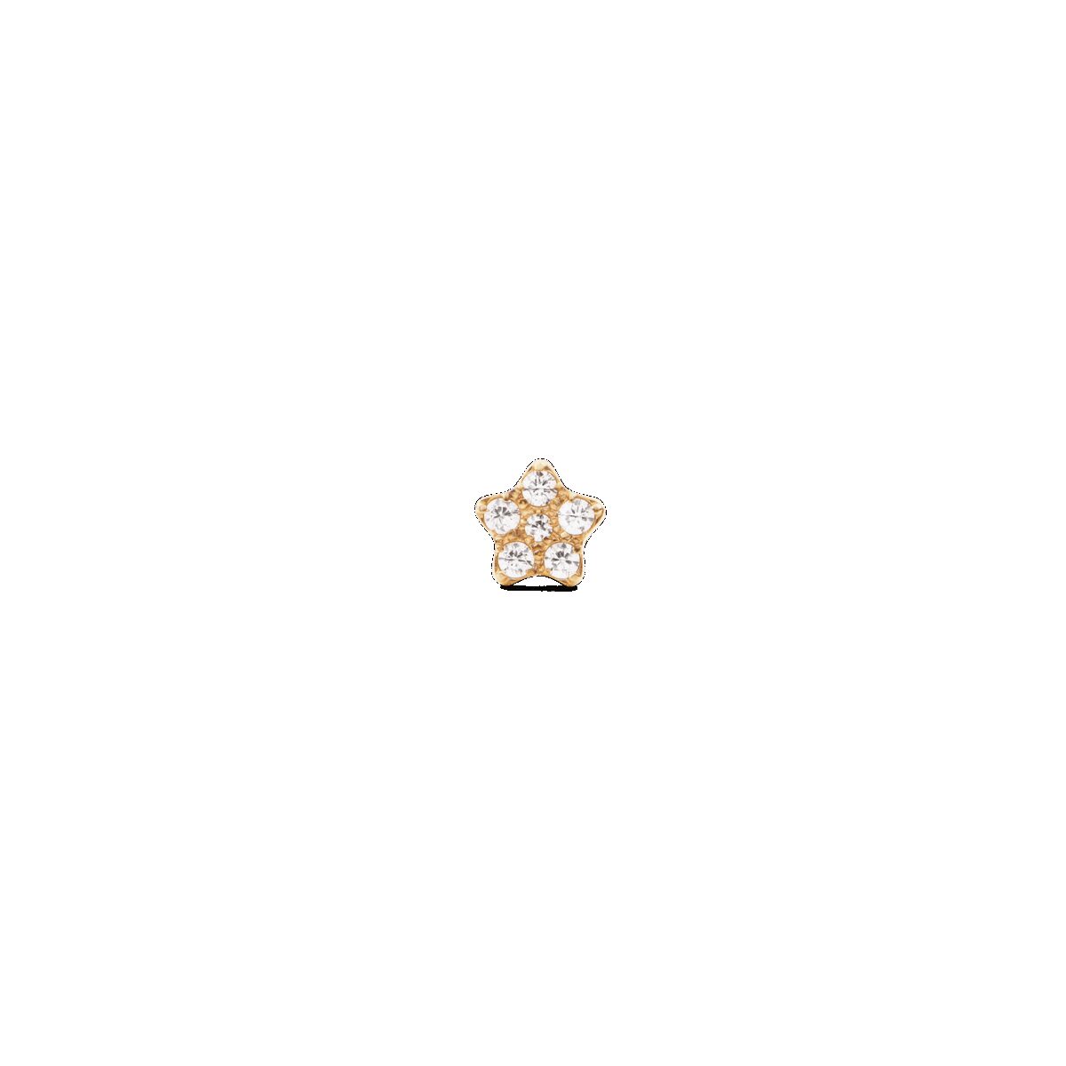 Daniel Wellington DW Earrings Micro 4