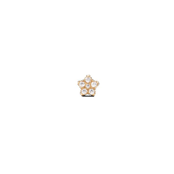 Daniel Wellington DW Earrings Micro 4