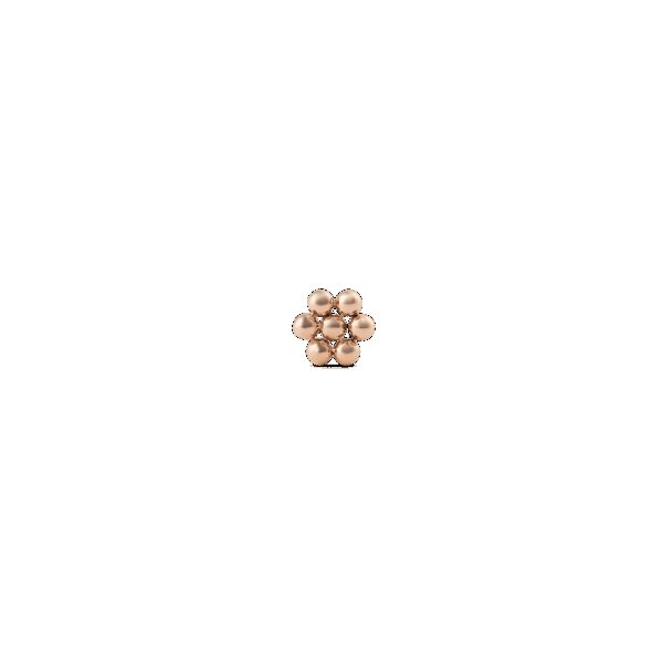 Daniel Wellington DW Earrings Micro 4