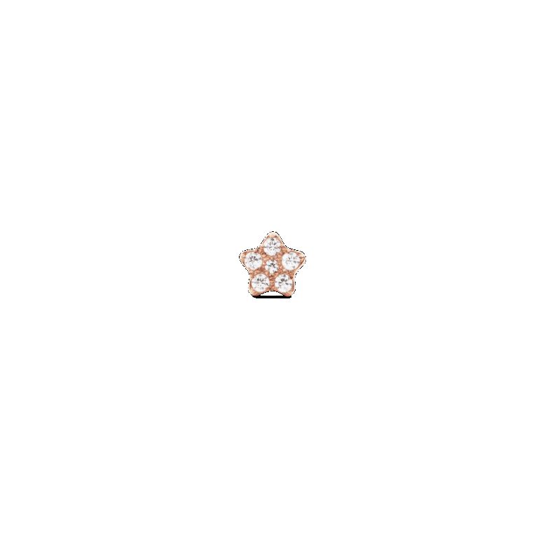 Daniel Wellington DW Earrings Micro 4
