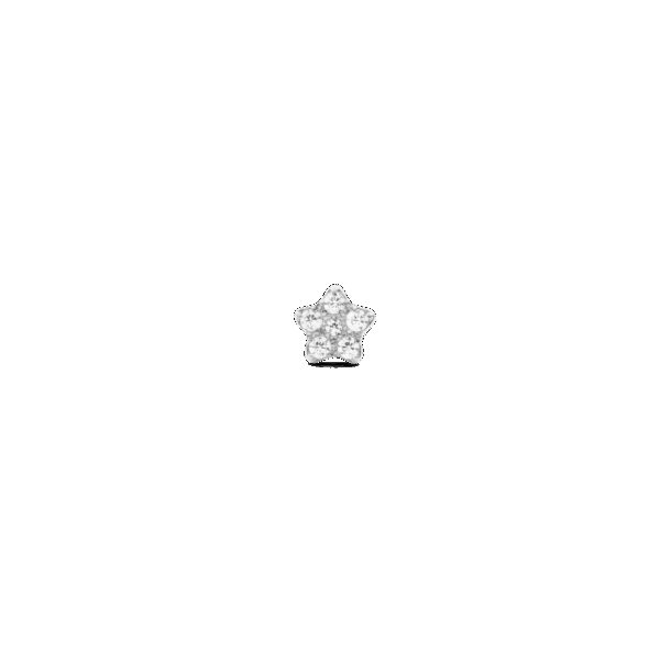 Daniel Wellington DW Earrings Micro 4