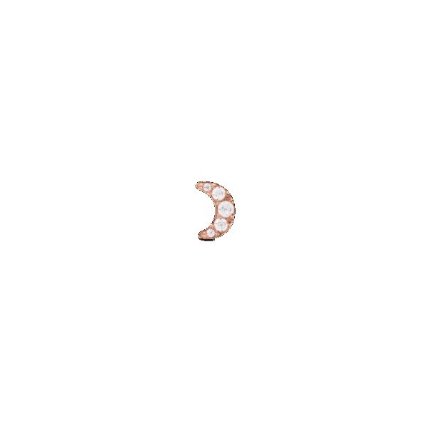 Daniel Wellington DW Earrings Micro 5mm Rose Gold