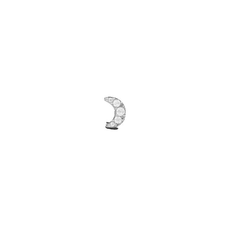 Daniel Wellington DW Earrings Micro 5mm Silver