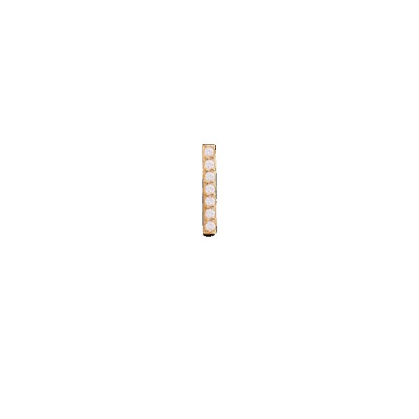 Daniel Wellington DW Earrings Micro 9mm Gold