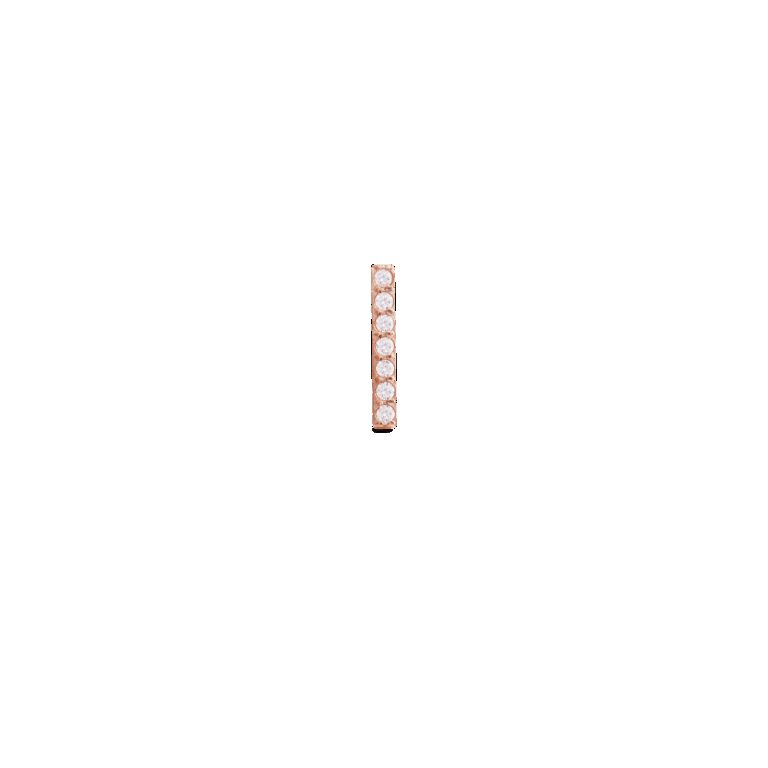 Daniel Wellington DW Earrings Micro 9mm Rose Gold