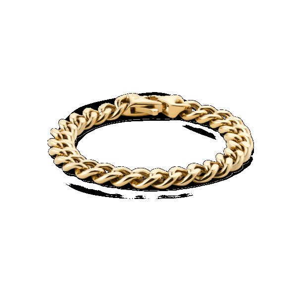Daniel Wellington DW Ellipse 175mm Gold