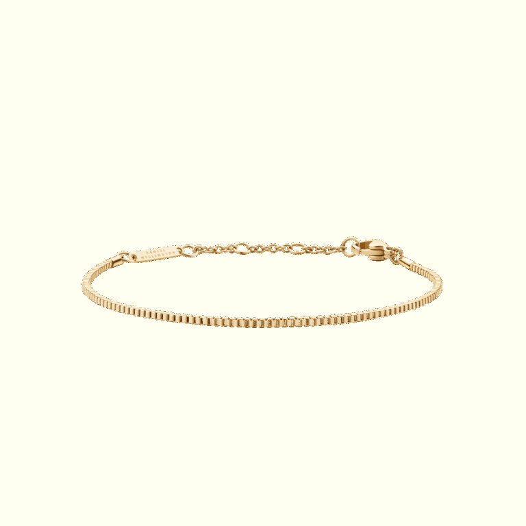 Daniel Wellington DW Staple Box 155-185 mm Gold