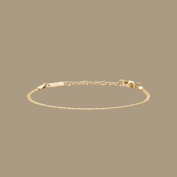 Daniel Wellington DW Staple Flat 155-185 mm Gold