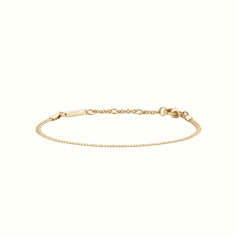 Daniel Wellington DW Staple Flat 155-185 mm Gold