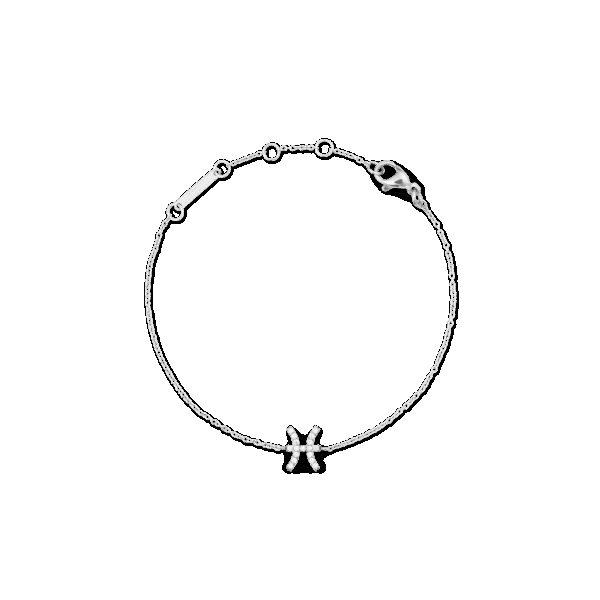 Daniel Wellington DW Zodiac Silver
