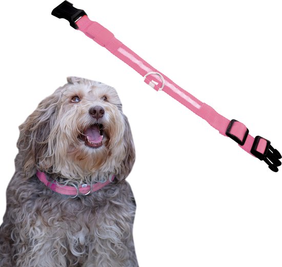 Dutchwide Leuchthalsband Hund - Extra Stark - L 41 cm bis 52 cm - Hundehalsband - Schnapphalsband - Verstellbar - Reflektierend Haus & Garten