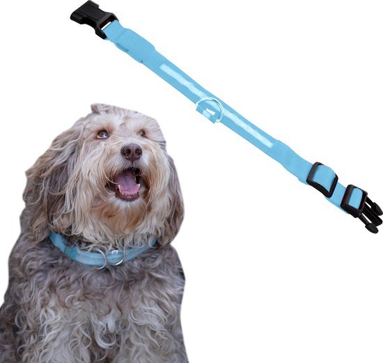 Dutchwide Leuchthalsband Hund - Extra Stark - S 34 cm bis 41 cm - Hundehalsband - Schnapphalsband - Verstellbar - Reflektierend Haus & Garten