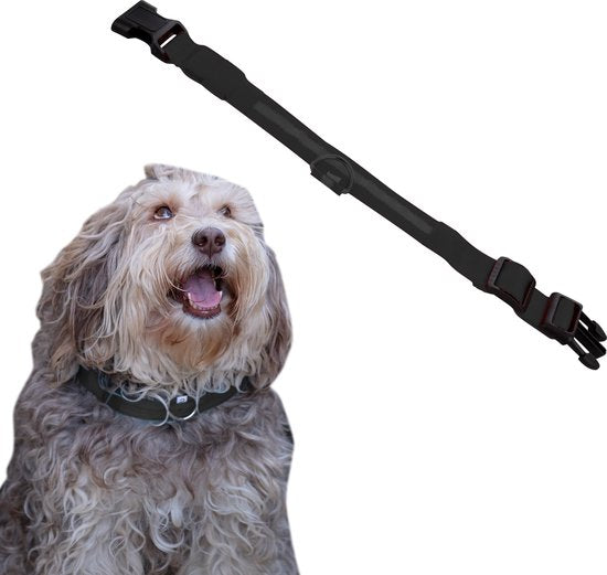 Dutchwide Leuchthalsband Hund Extra Strong M 37 cm bis 46 cm - Hundehalsband - Schnapphalsband - Verstellbar - Reflektierend Haus & Garten