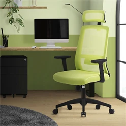 Ergonomischer Bürostuhl Grün Netzgewebe mit verstellbaren Armlehnen und Kopfstütze ML-Design 2045