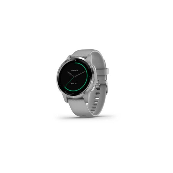 Garmin Vivoactive 4S Grau