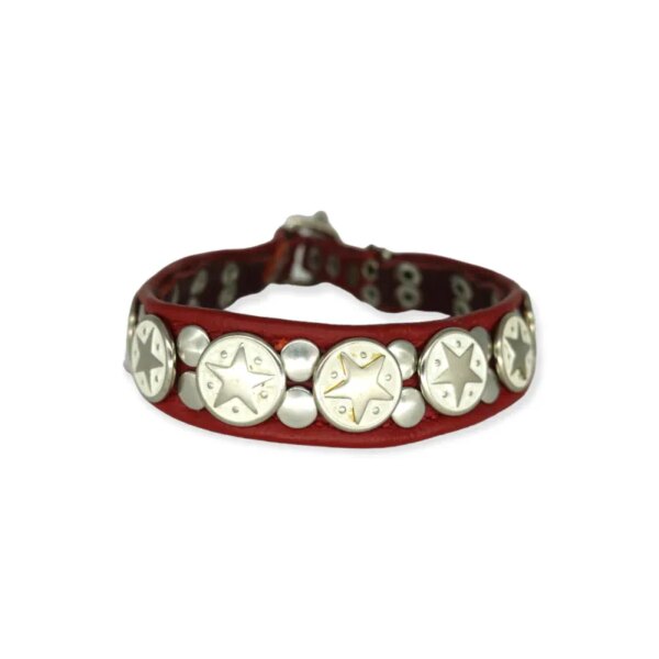 Halsband ängel #22 Hundehalsband