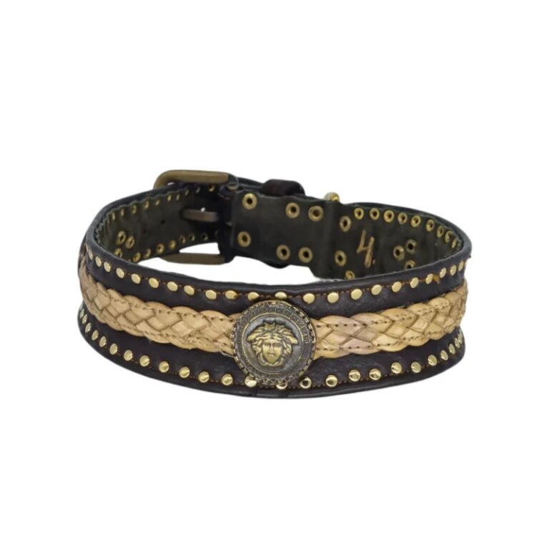 Halsband ashok #4 Hundehalsband