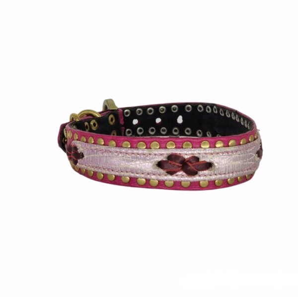 Halsband estella #2 Hundehalsband