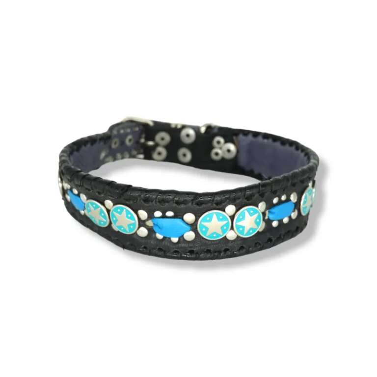 Halsband kelly #46 Hundehalsband