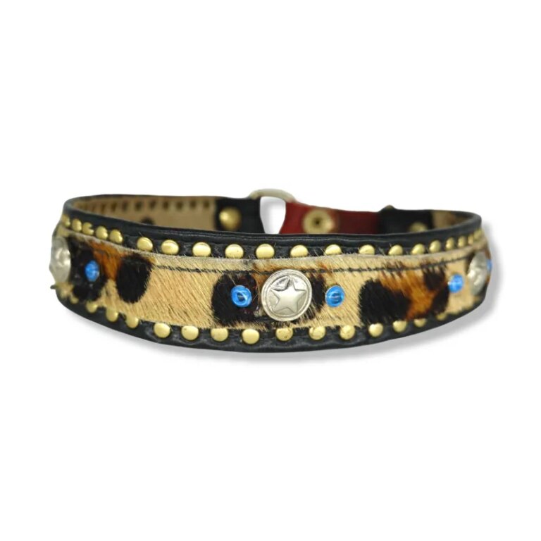 Halsband mucca #45 Hundehalsband
