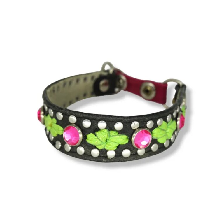 Halsband riie #43 Hundehalsband