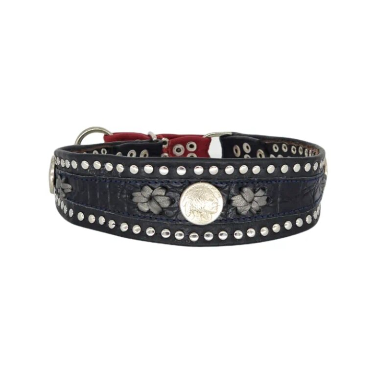 Halsband wolfer #20 Hundehalsband