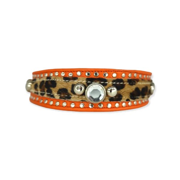 Hundehalsband kambuku #26