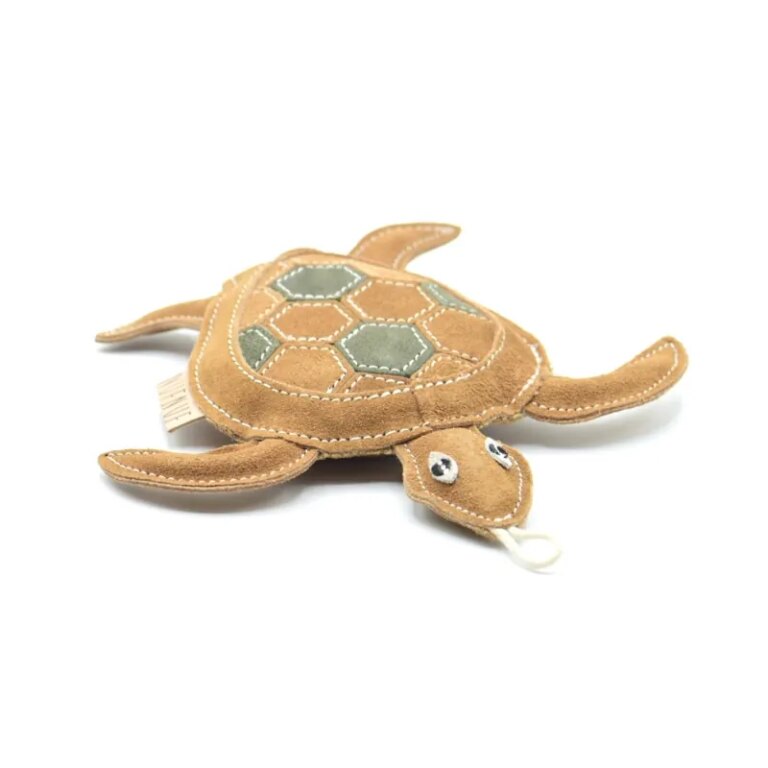 Hundespielzeug Schildkröte