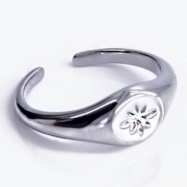 Laura Ferini Verstellbarer Damenring Silber - Runder Siegelring - Silber Damenschmuck - Wasserfester Edelstahl - Edelstahlschmuck - Accessoires Vertaald