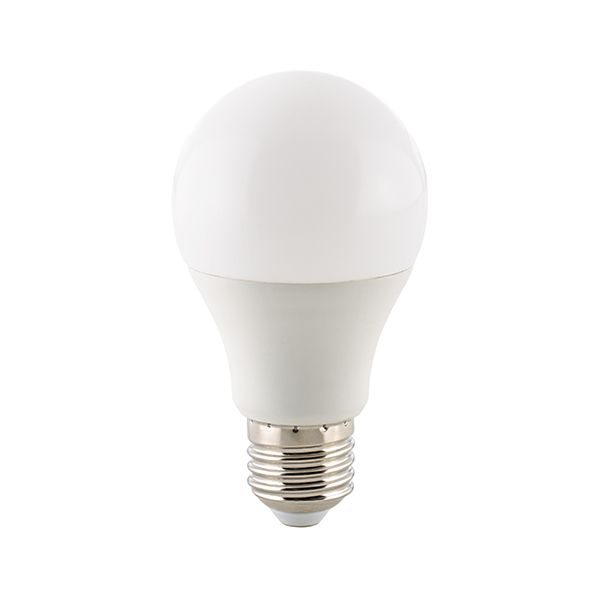 LED Leuchtmittel Ecolux opal 13