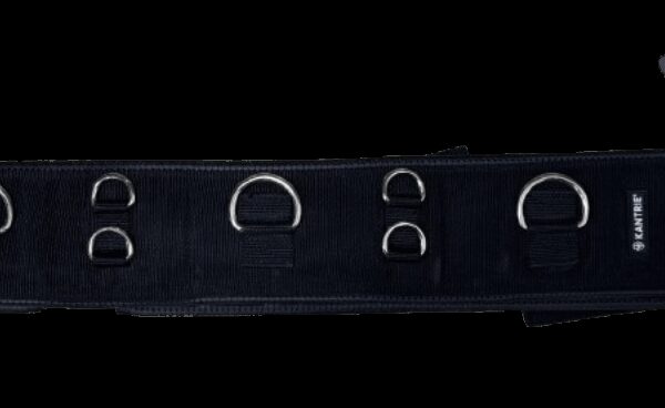 Longierring mit Ringen Schwarz Hobby & Sport