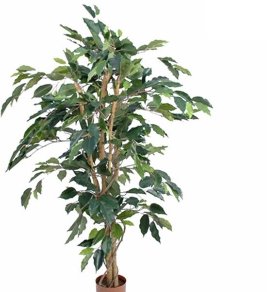 Mica Decorations Ficus Künstliche Pflanze - H110 x Ø65 cm - Grün Wohnen & Kochen