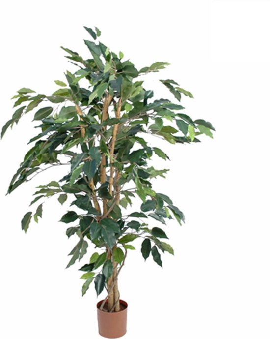 Mica Decorations Ficus Künstliche Pflanze - H110 x Ø65 cm - Grün Wohnen & Kochen