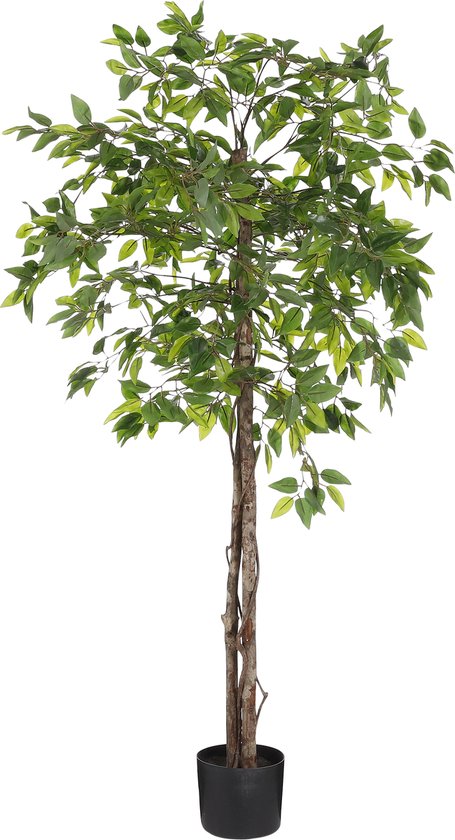 Mica Decorations Ficus Künstliche Pflanze im Blumentopf - H150 x Ø50 cm - Grün Wohnen & Kochen