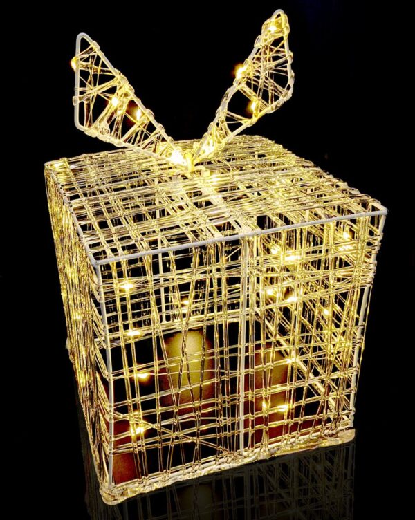 Nampook - Nampook Weihnachtslichter Geschenkbox - weiß Weihnachten