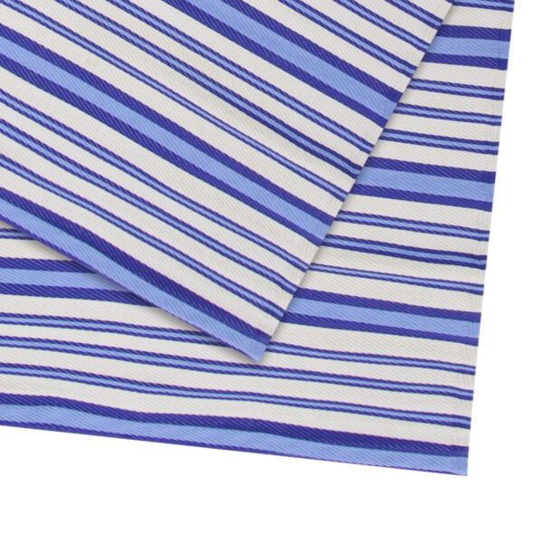 Niceey Outdoor Teppich - Gartenteppich - 120x180cm - Blau/Weiß Haus & Garten