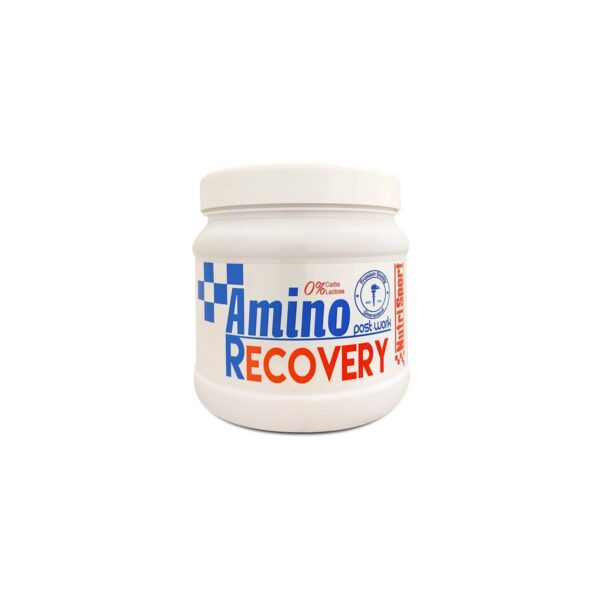 NutriSport Amino Recovery Dose 260g Ernährung