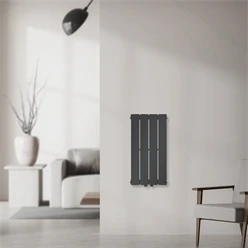Badheizkörper Einlagig Vertikal 600x300 mm Anthrazit mit Mittelanschluss LuxeBath 586