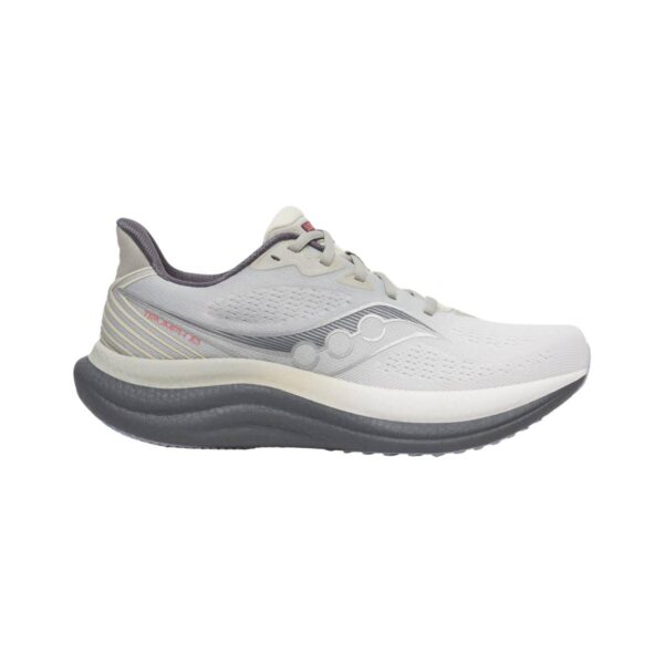 Saucony Triumph 23 Schuhe Grau Beige AW25