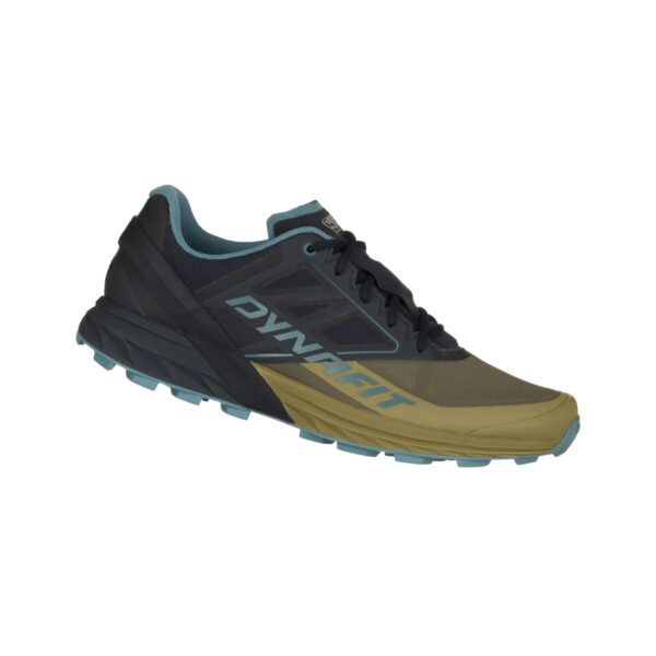 Schuhe Dynafit Alpine Schwarz Grün
