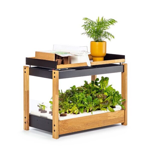 Smart Garten | LivingBloom Intelligenter Garten Indoor gardening