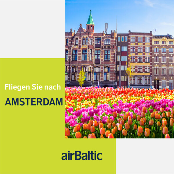 Vilnius - Amsterdam travel